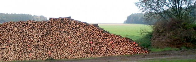 Sauberer Holzpolter Sauberer Holzpolter