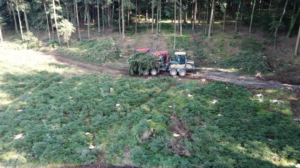 holzernte-2
